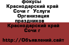 фокусы - Краснодарский край, Сочи г. Услуги » Организация праздников   . Краснодарский край,Сочи г.